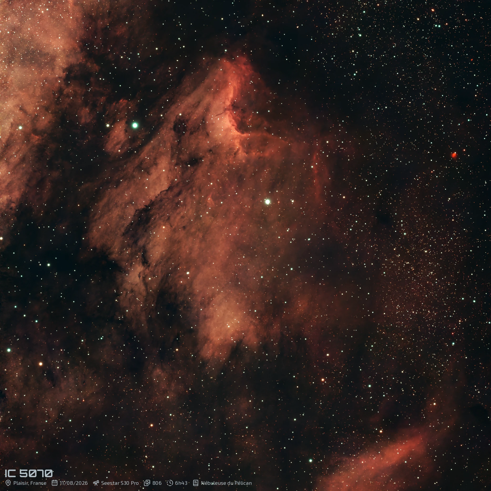IC 5070 - Nébuleuse du Pélican